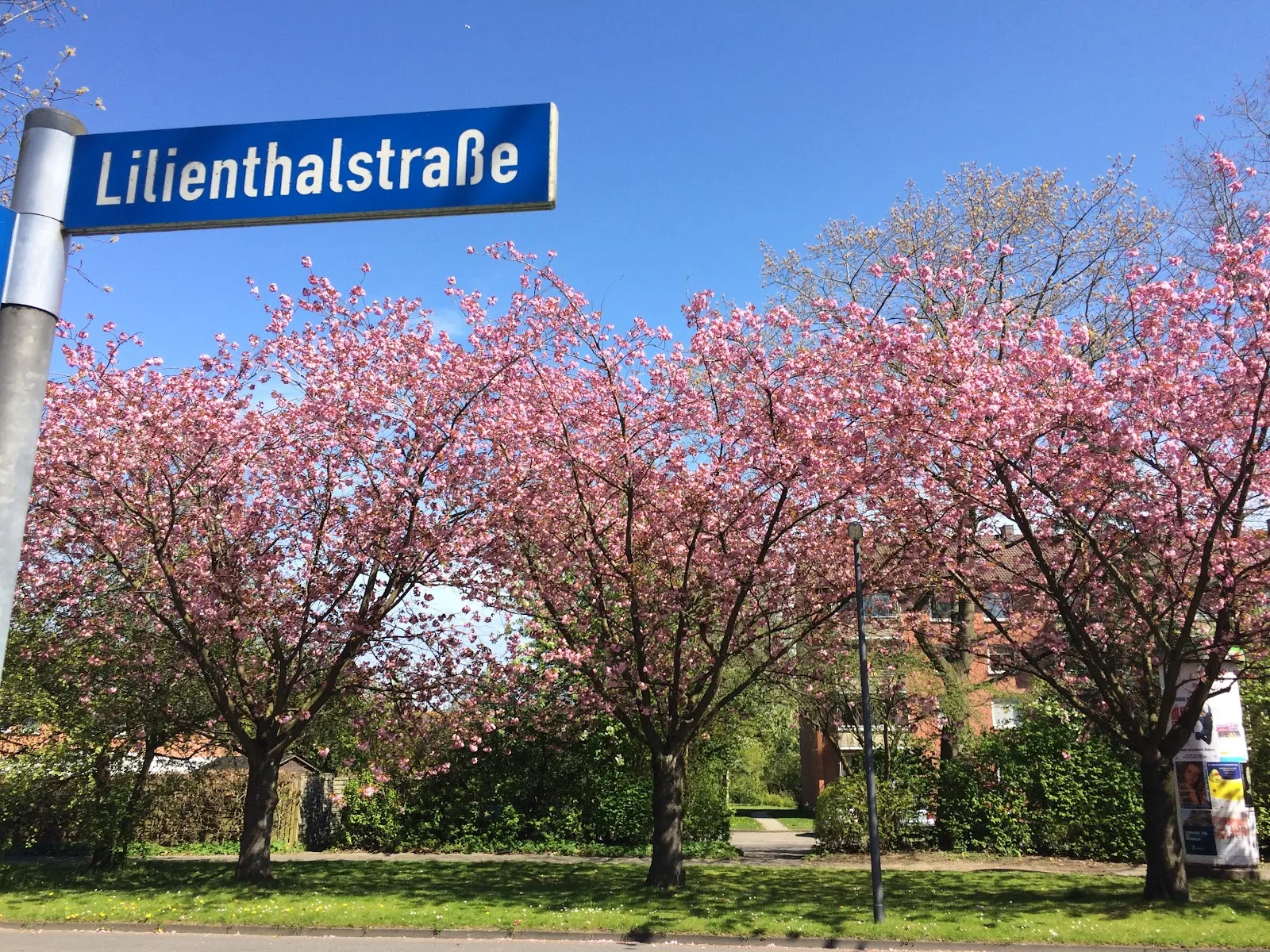 Wohnungsbild 4324