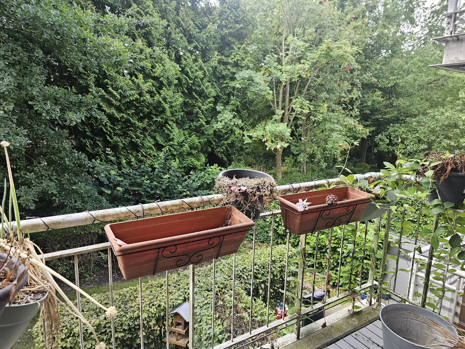 Wohnungsbild 13683