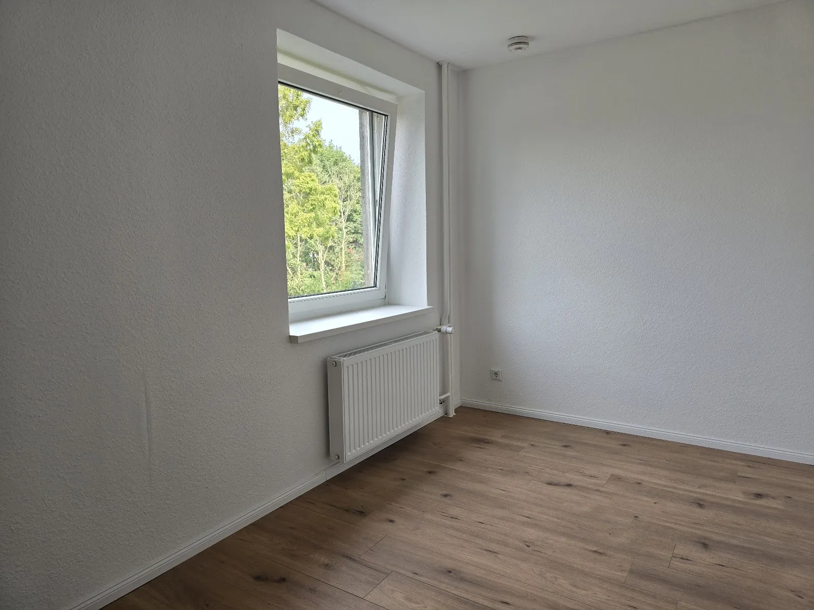 Wohnungsbild 13502