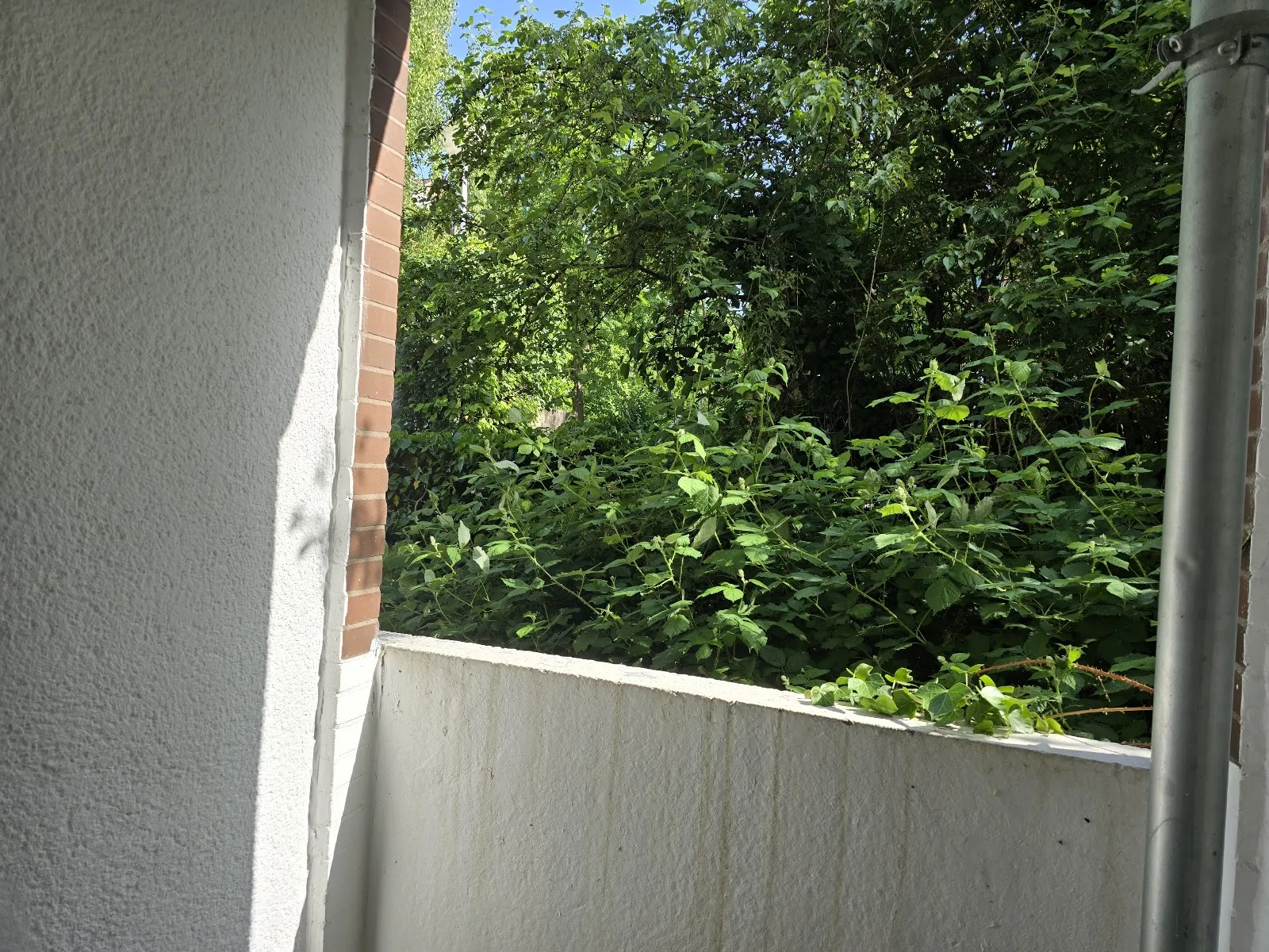 Wohnungsbild 13094
