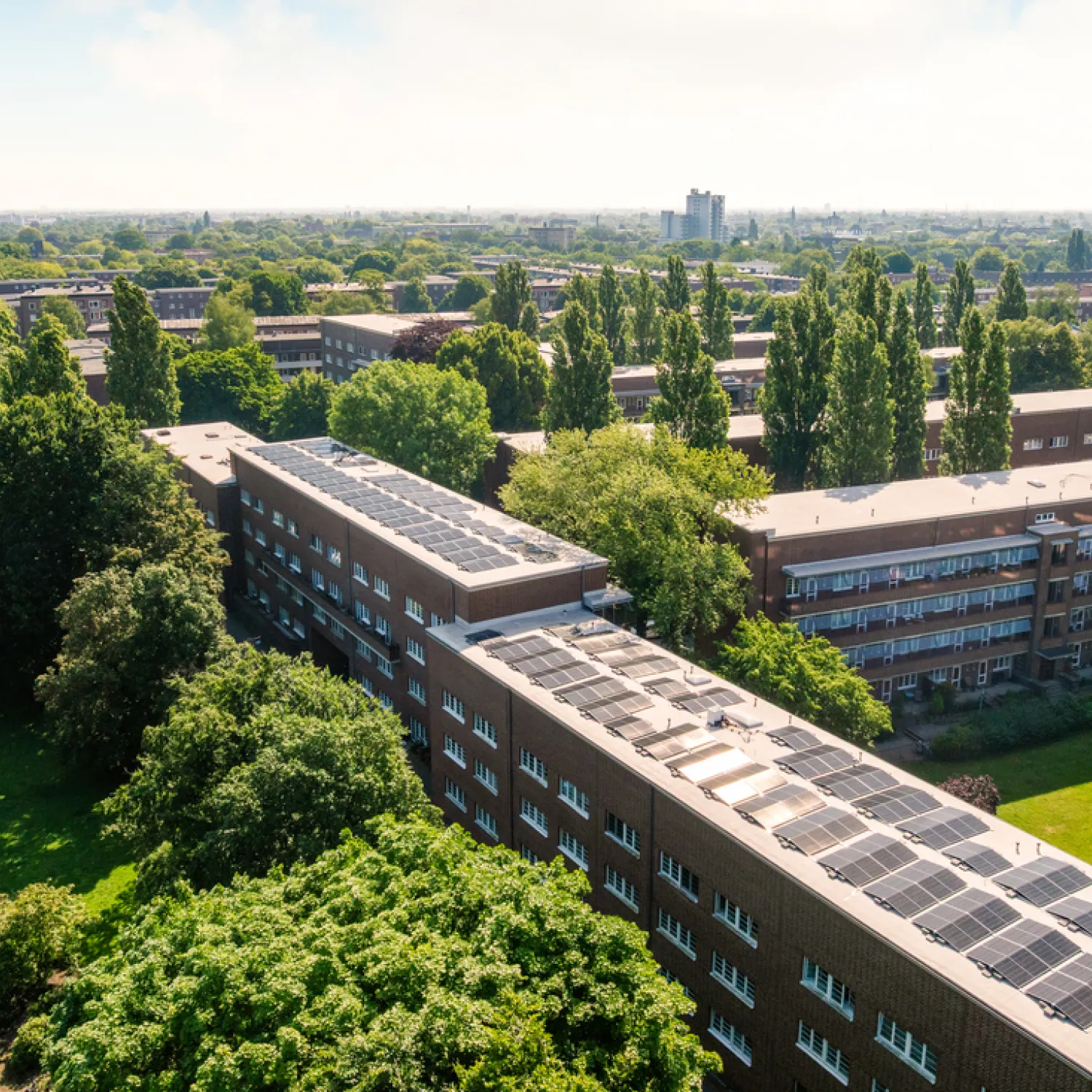 FRANK Immobilien mit ausgestatteten PV Dächern