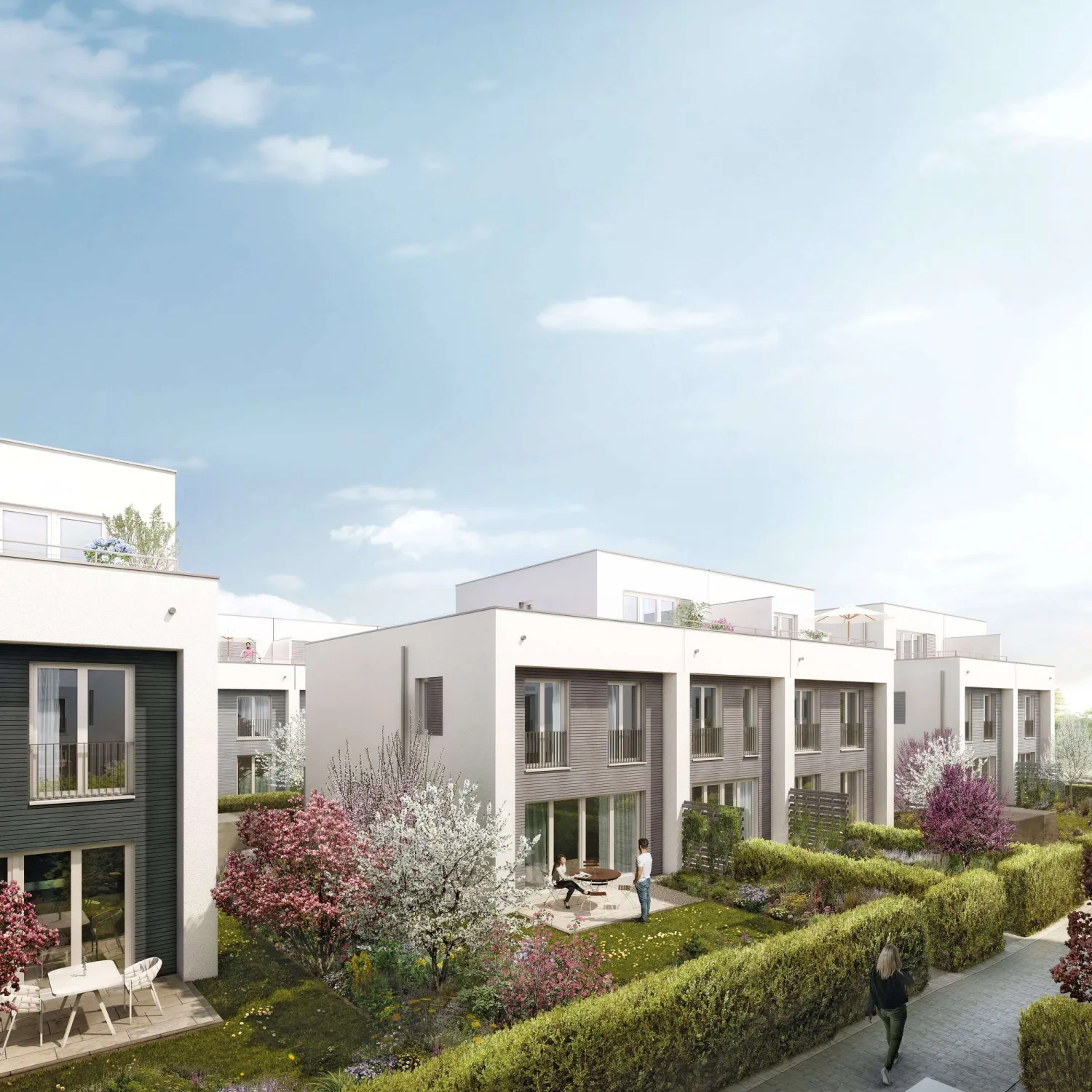 Gartenstadthäuser ÖkoSiedlung Friedrichsdorf