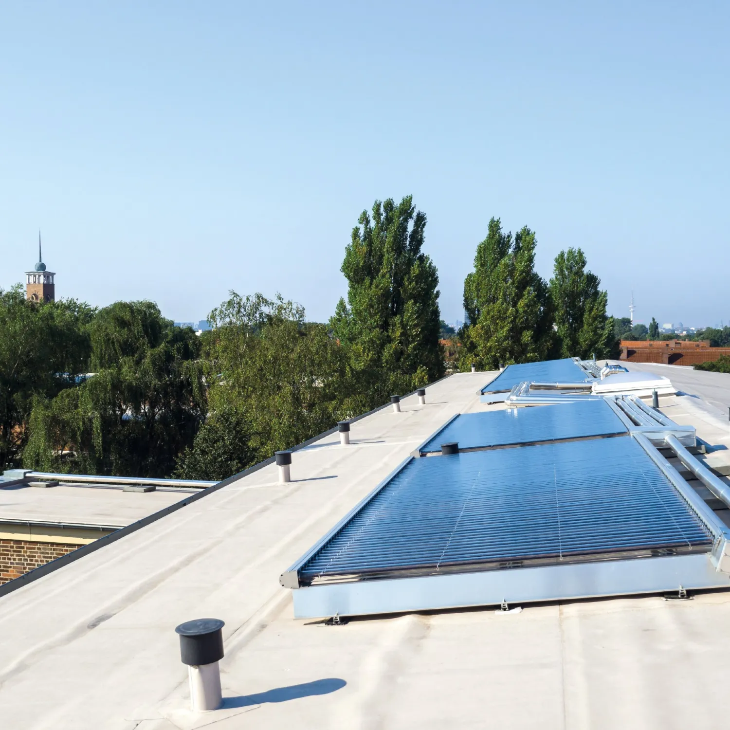 Nachhaltigkeit der Lebensformate