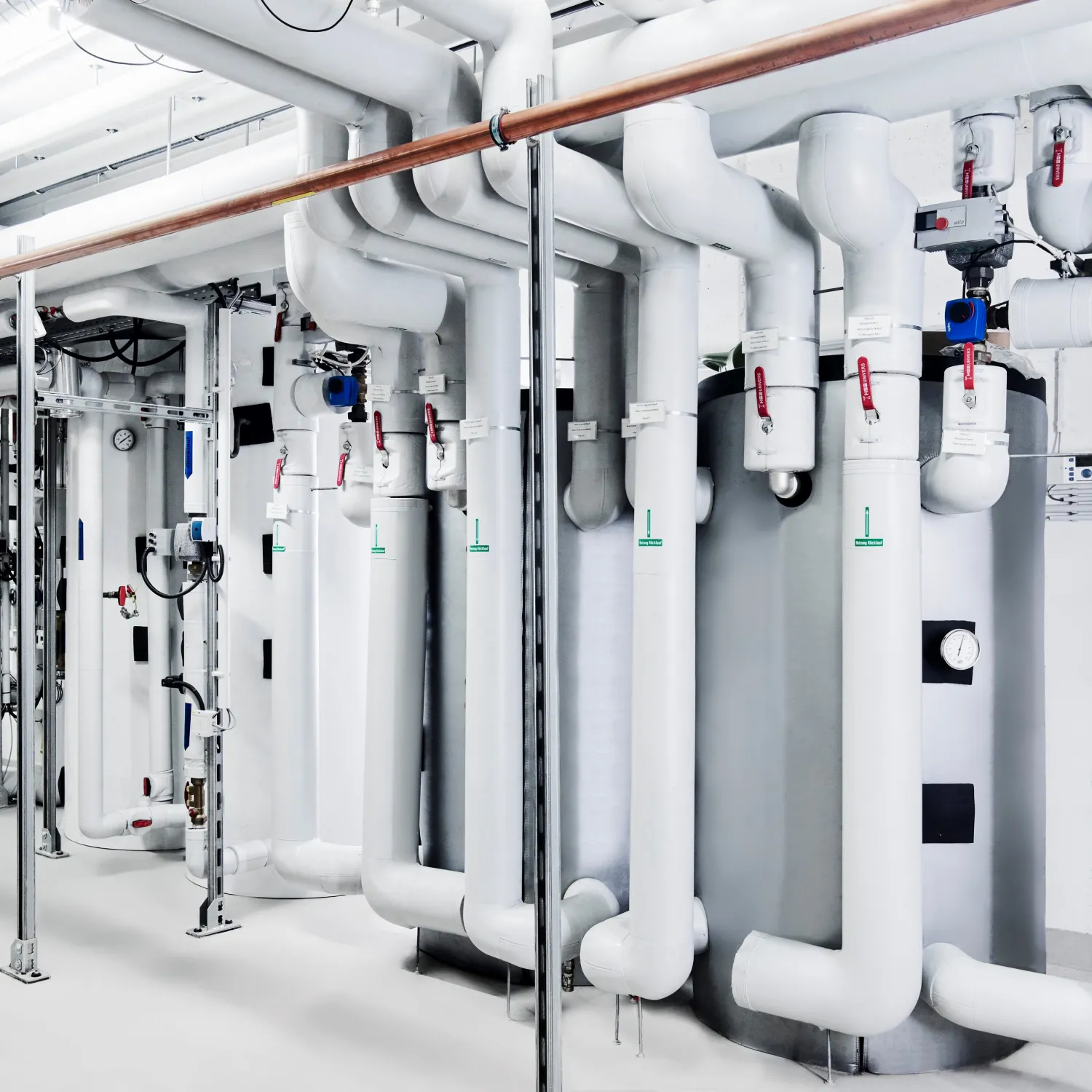 Nachhaltigkeit der Lebensformate