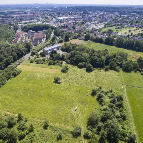 Grundstücksentwicklung Grundstücke